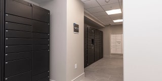 Canal 1535 Gallery 20