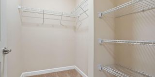 5168 Foxtail Pine Street Gallery 24