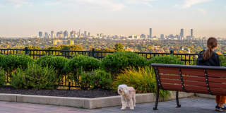 Arlington 360 Gallery 16
