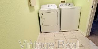 2856 Bayshore Trails Dr Gallery 23