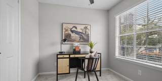 The Jaxon Gallery 26