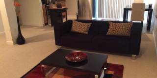 1506 PENNYCRESS Lane Gallery 5