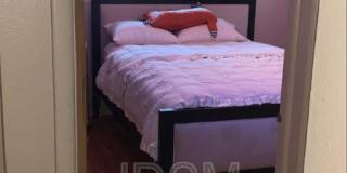 1545 Jackson Street Gallery 22