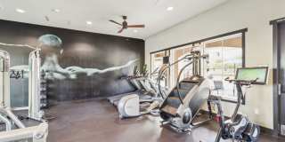 Hollister Village Gallery 18