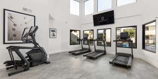 Cortland Scottsdale Mountain Gallery 14