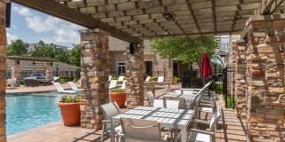 Red Knot at Edinburgh Gallery 20