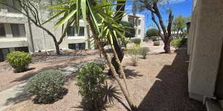 5518 East Lindstrom Lane - 1026 Gallery 11