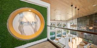 Emblem Ravine Gallery 1