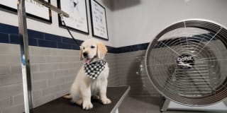 AVA North Point Gallery 30