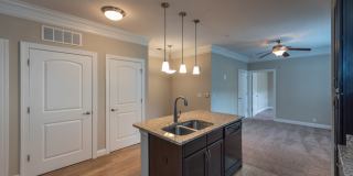 Red Knot at Edinburgh Gallery 3