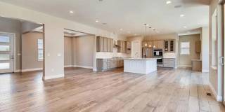 4 bedroom luxury home in Anthem 4 bedroom luxury home in Anthem Gallery 8