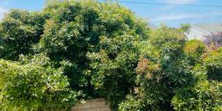 Three bedroom home in The Heights area of Morro Bay Three bedroom home in The Heights area of Morro Bay Gallery 23