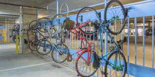 Eleven by Windsor Gallery 38