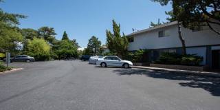 Driftwood Village Gallery 41