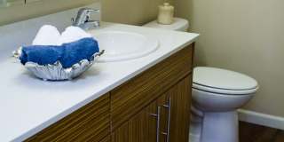 The Savoy at Lake City - 55+ Senior Living Community Gallery 9