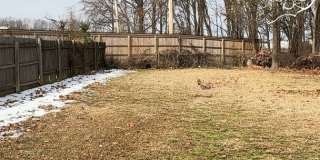 Spacious 3BR/2BA Duplex with Large Backyard – Memphis Gallery 1