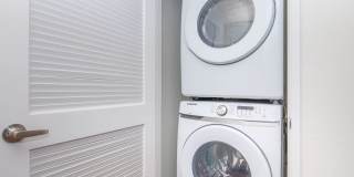 Vineyards Gallery 148