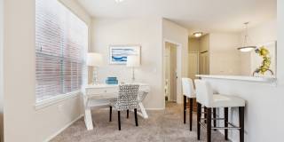 Vista Lake Ned Gallery 37