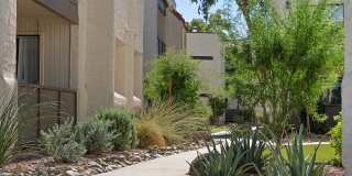 Genoa Lakes Gallery 61