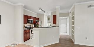 Tiburon Gallery 2