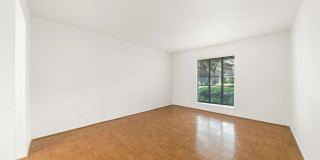 6106 VANCE JACKSON RD Gallery 15