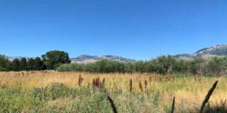 Claradon Village Gallery 23