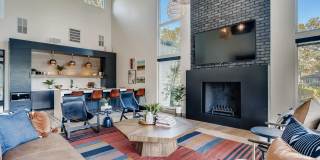 The Harlow Gallery 31