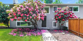 Spacious 4 Bedroom with Open Floor Plan and AC Gallery 1