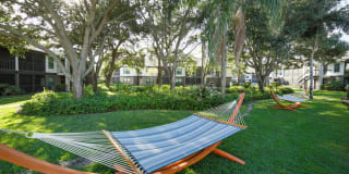 Palms of Clearwater Gallery 19