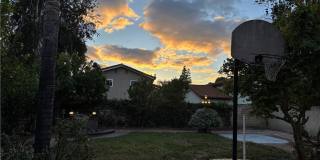 7515 Melvin Gallery 50