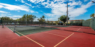 9811 N Hollybrook Lake Dr Gallery 30