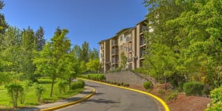 Belara At Lakeland Gallery 29