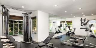 Harborview Gallery 13