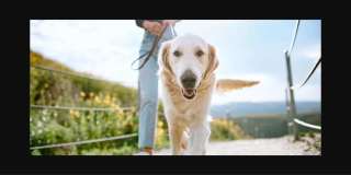 Traxx Apartments Gallery 13