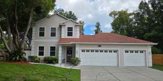 Newly Renovated Land O Lakes Apartment Gallery 1