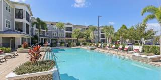 The Lotus at Starkey Ranch Gallery 27