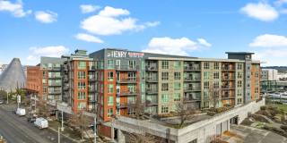 The Henry Gallery 32