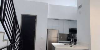 ST Living at 644 Hobart | Where Style, Comfort, and Hollywood Energy Meet. Gallery 6