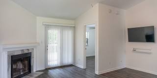 3223 Albert Drive - 1 Gallery 4