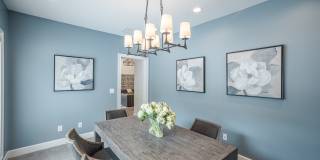 Helena Springs Gallery 17