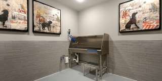 Hensley at the District Gallery 34
