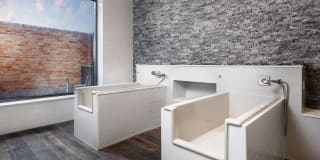 The Driscoll at River Oaks Gallery 11