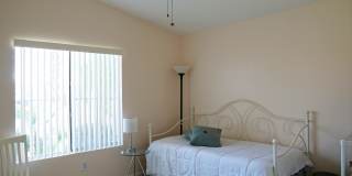 81367 Avenida Camelia Gallery 26