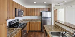 Museum Park Museum Park Gallery 2