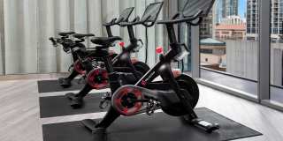 State & Chestnut Gallery 38