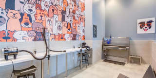 Thayer & Spring Gallery 21