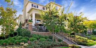 56 Fringe Tree Gallery 1