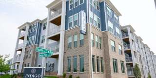 Indigo at Berewick Gallery 11