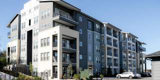 Livano Nations Gallery 48