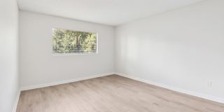 Vista Waterleaf Apartments Gallery 14